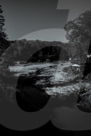 Hurricane Helene Aftermath – One Year Later