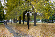 Autumn In Norrköping, Sweden.