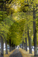 Autumn In Norrköping, Sweden.