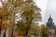 Autumn In Norrköping, Sweden.