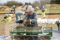 ‘It would be wonderful’: the team hoping to unearth ‘Cornwall’s Stonehenge’