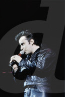 The King en concert