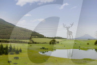 Wildlife-shaped power cable pylons 