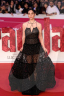 The 20th Rome Film Festival