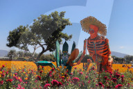 Monumental Cardboard Catrinas Exhibition For Dia De Muertos Celebrations