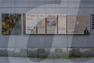 U.S. Government Shutdown 