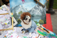 Washington Square Park Halloween Dog Parade