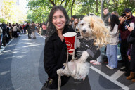 Washington Square Park Halloween Dog Parade