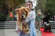 Washington Square Park Halloween Dog Parade