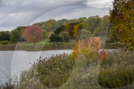 Illinois Fall Foliage
