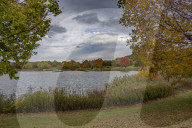 Illinois Fall Foliage