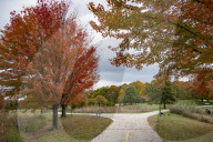 Illinois Fall Foliage