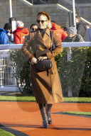 Zara Tindall at Cheltenham races