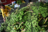 Chhath Puja Free Religious Material Distribution In Kolkata, India - 26 Oct 2025