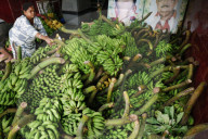 Chhath Puja Free Religious Material Distribution In Kolkata, India - 26 Oct 2025