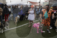 Frisco's Annual Howl-O-Ween Dog Costume Contest