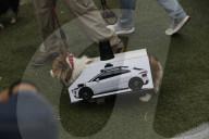 Frisco's Annual Howl-O-Ween Dog Costume Contest