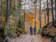 Hikers Explore Shoreline And Forests On The Eibsee Circular Trail
