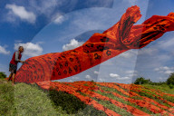 Indonesian Worker Dries Colored Batik Fabric on Riverbank in Sukoharjo