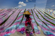 Indonesian Worker Dries Colored Batik Fabric on Riverbank in Sukoharjo