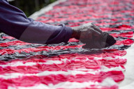 Indonesian Worker Dries Colored Batik Fabric on Riverbank in Sukoharjo
