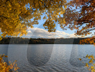 Golden Autumn Foliage Overlooks Lake