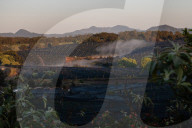 Bitter fruit: the dark underside of the booming NSW blueberry industry