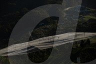 Bitter fruit: the dark underside of the booming NSW blueberry industry