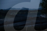 Bitter fruit: the dark underside of the booming NSW blueberry industry