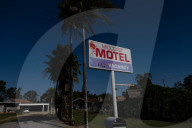 Bitter fruit: the dark underside of the booming NSW blueberry industry