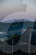 Bitter fruit: the dark underside of the booming NSW blueberry industry