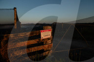 Bitter fruit: the dark underside of the booming NSW blueberry industry