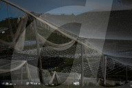 Bitter fruit: the dark underside of the booming NSW blueberry industry