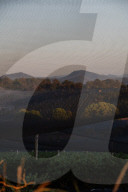 Bitter fruit: the dark underside of the booming NSW blueberry industry