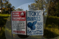 Bitter fruit: the dark underside of the booming NSW blueberry industry