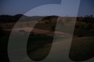 Bitter fruit: the dark underside of the booming NSW blueberry industry