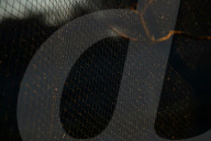 Bitter fruit: the dark underside of the booming NSW blueberry industry