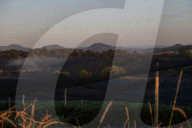 Bitter fruit: the dark underside of the booming NSW blueberry industry