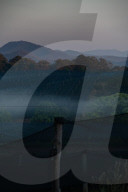 Bitter fruit: the dark underside of the booming NSW blueberry industry