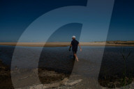 Bitter fruit: the dark underside of the booming NSW blueberry industry