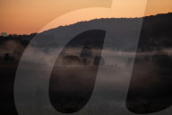 Bitter fruit: the dark underside of the booming NSW blueberry industry