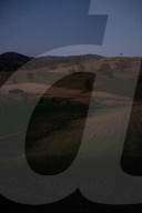 Bitter fruit: the dark underside of the booming NSW blueberry industry