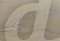 Tidal Tree Landscape