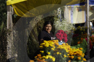 Families From The Southernmost Part Of Mexico City Cut And Sell Marigold Flowers For The Day Of The Dead In Mexico