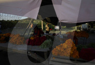 Families From The Southernmost Part Of Mexico City Cut And Sell Marigold Flowers For The Day Of The Dead In Mexico