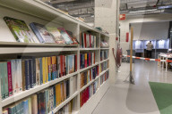 Elections In The Netherlands