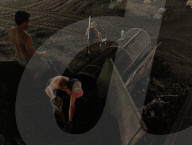 Farmer's 'Gold Poop'