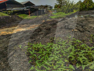 Farmer's 'Gold Poop'