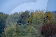 Wildlife At The Oxbow Nature Conservancy 