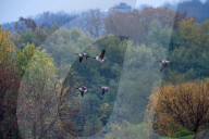 Wildlife At The Oxbow Nature Conservancy 